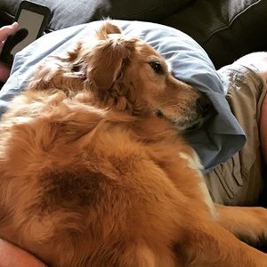 Meet your Posher, Kirsten